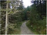 end of road on Pokljuka - Velo polje